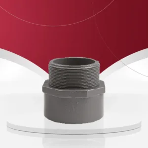 جلبة ذكر بارد