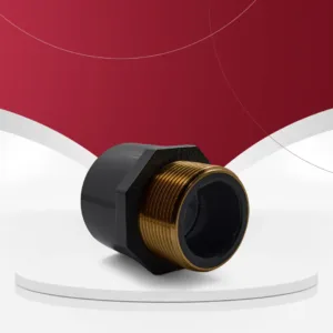 جلبة ذكر بارد